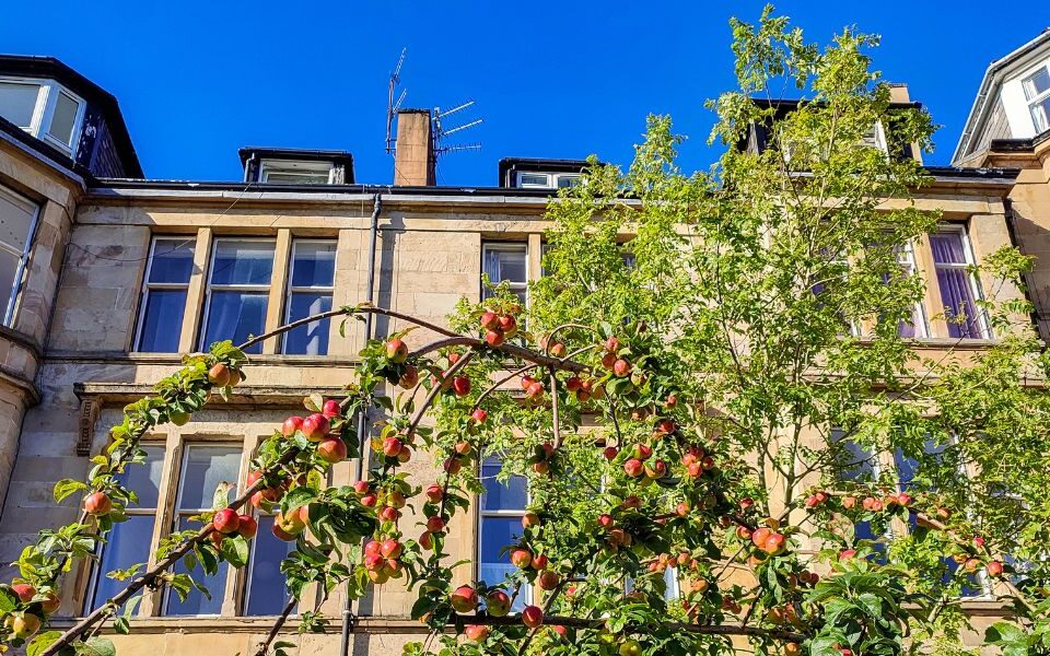 Summer Living in Scottish Flats