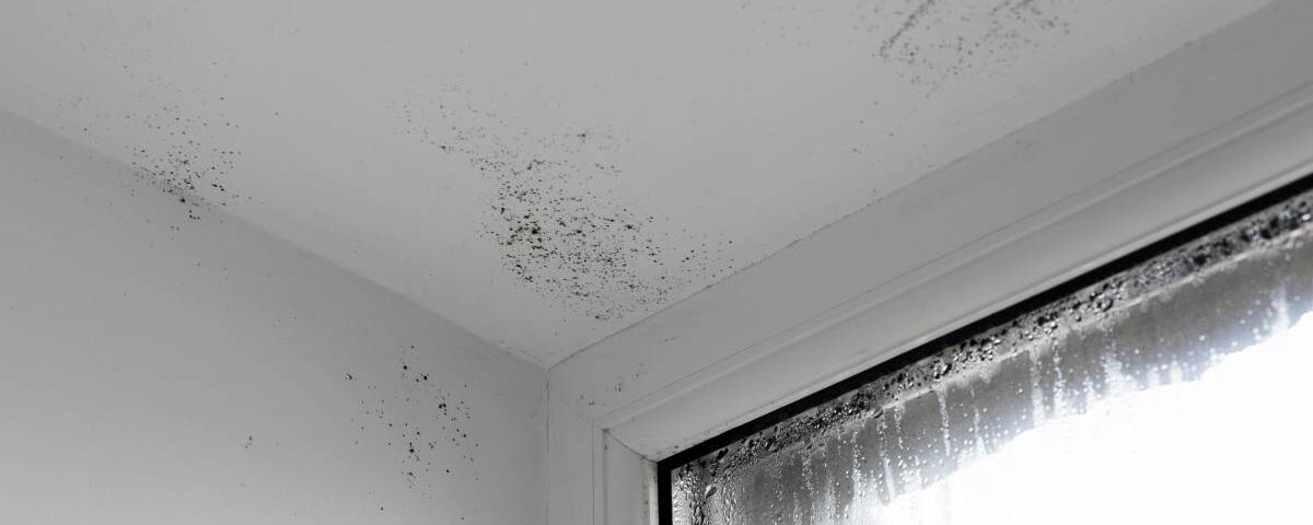 Why Regular Property Maintenance Matters in Scotland