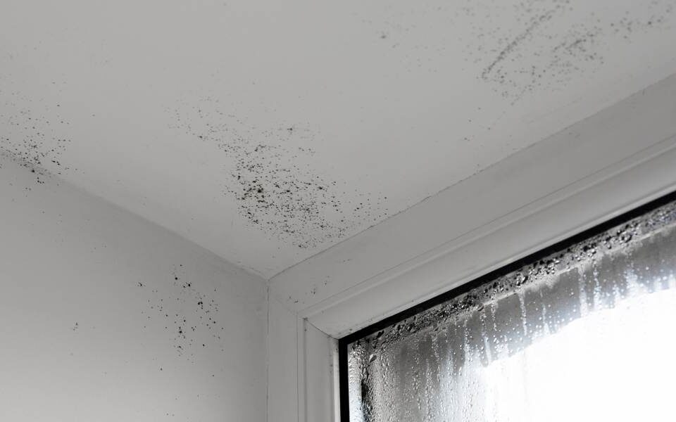 Why Regular Property Maintenance Matters in Scotland
